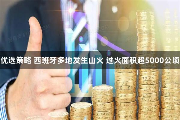 优选策略 西班牙多地发生山火 过火面积超5000公顷