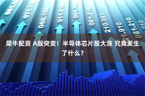 犀牛配资 A股突变！半导体芯片股大涨 究竟发生了什么？