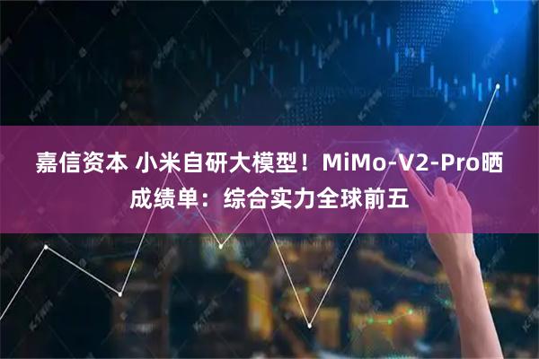 嘉信资本 小米自研大模型!MiMo-V2-Pro晒成绩单:综合实力全球前五