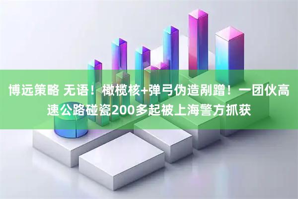 博远策略 无语！橄榄核+弹弓伪造剐蹭！一团伙高速公路碰瓷200多起被上海警方抓获
