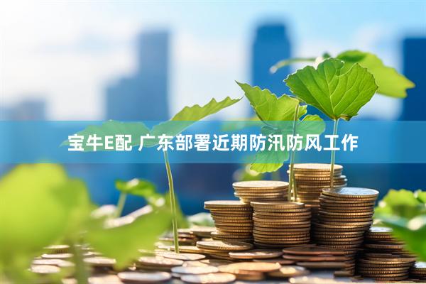 宝牛E配 广东部署近期防汛防风工作