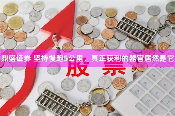 鼎盛证券 坚持慢跑5公里，真正获利的器官居然是它